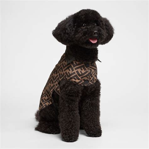 fendi hondenriem|Pet Accessories for Men .